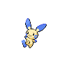 piplup